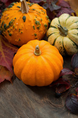 seasonal pumpkin with autumn leaves, top view, closeup