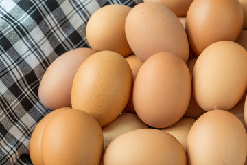 Fresh organic eggs
