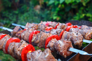 Barbecue roasted meat kebab hot grill, good snack outdoor picnic