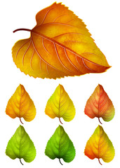 Obraz premium Collection of colorful autumn leaves -- yellow, orange, red leaves, vector elements