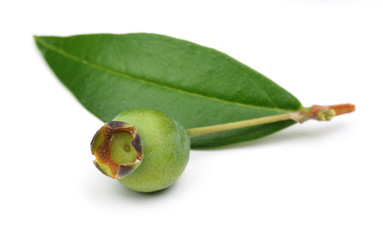Blueberries