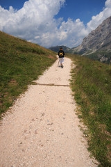 Fototapeta na wymiar sentiero verso la baita Segantini (Dolomiti)