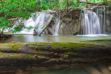 Waterfall in Deep Forest