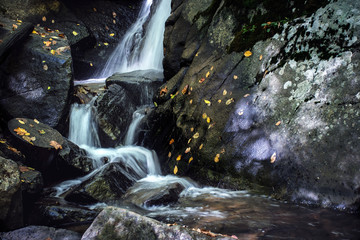 Obraz premium Cascading Falls