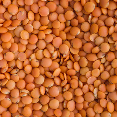 red lentils