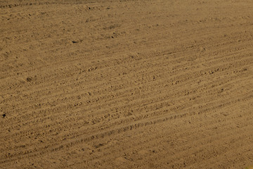 Brown arable texture