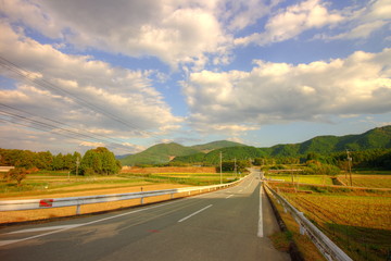 田舎の道路no.1