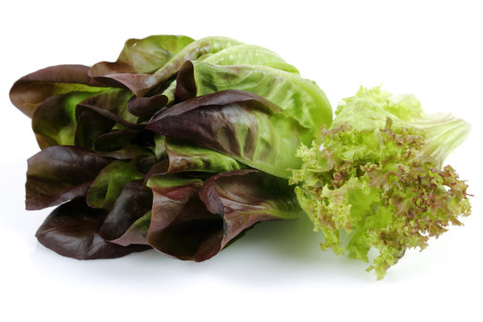 Lettuce