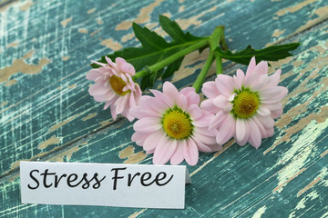 Stress free card with pink daisies on rustic wooden surface
