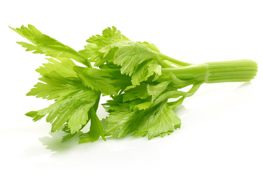 Celery leaves