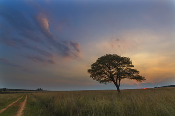 Fototapeta premium Pastel Colours of Sunset