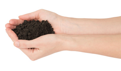 Heap of ground in humans hands