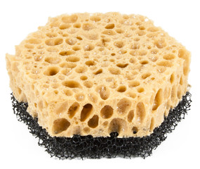 China sponge on a white background