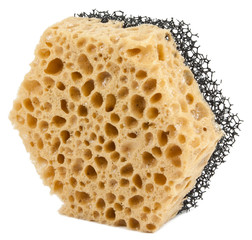 China sponge on a white background