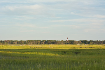 Fototapeta na wymiar Virginia Wetlands and Lighthouse