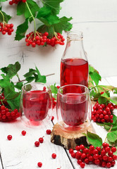 Viburnum (guelder rose) drink in glass