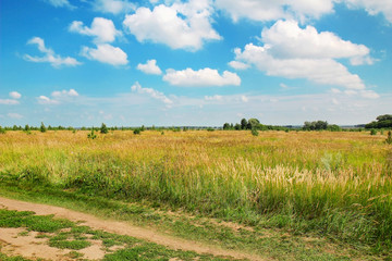 summer landscape with green grass, road and clouds