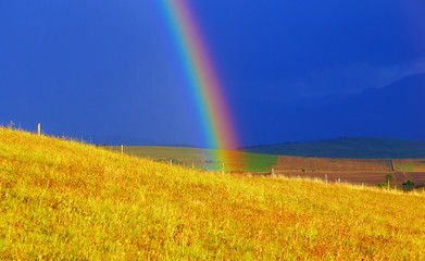 Beautiful landscape, green and yellow meadow, rainbow
