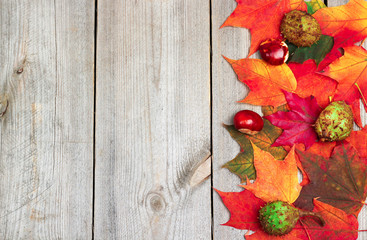 Naklejka na ściany i meble Autumn leaves on a wooden background