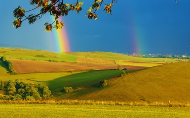 Beautiful landscape, green and yellow meadow And rainbow