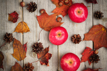 Autumn apples with nuts, cones and leaves