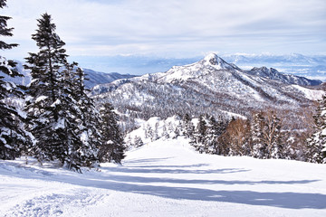 Fototapeta na wymiar 横手山スキー場から見た笠ヶ岳