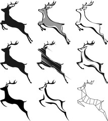 Fototapeta premium deer