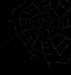 Trap Spider Web
