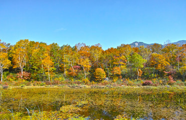 紅葉シーズンの志賀高原　蓮池