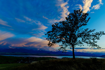 Fototapeta na wymiar Night lake and Tree with dark blue sky