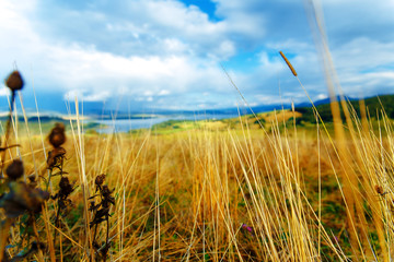 Beautiful landscape, yellow meadow and lake  in background. .