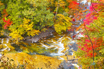 秋の紅葉シーズンの秋山郷の渓谷

