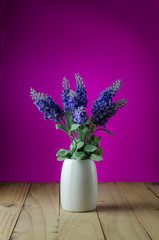 Lavender flowers in white vase on a pink background