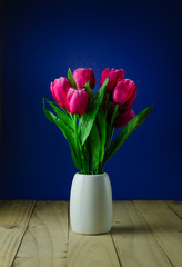 Red tulips in a vase blue background