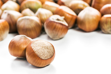 Hazelnuts isolated