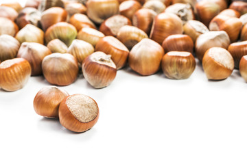 Hazelnuts isolated