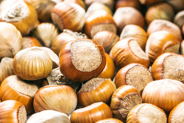 Hazelnuts isolated