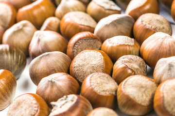 Hazelnuts isolated