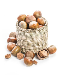Hazelnuts isolated