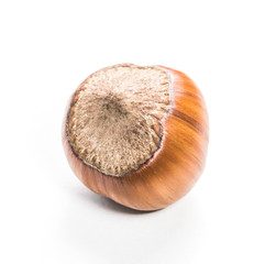 Hazelnuts isolated