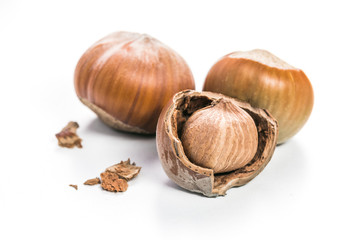 Hazelnuts isolated