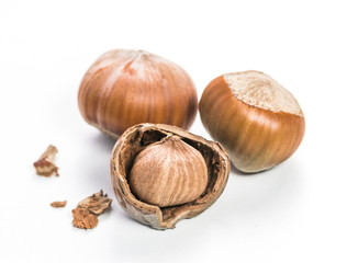 Hazelnuts isolated