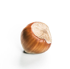 Hazelnuts isolated