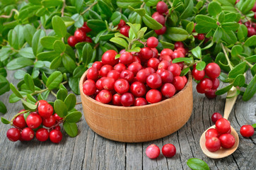 Cranberries in wooden bowl