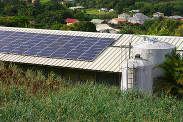 La Réunion - Carosse, panneaux photovoltaïque sur bâtiment d’élevage