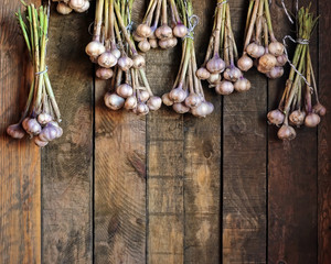Garlic bunches against from boards