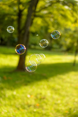 Soap bubbles floating on a green lawn.