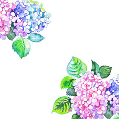 Watercolor hydrangea corners for design.