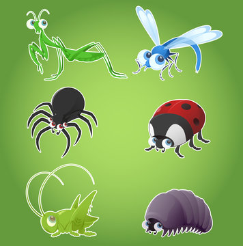 Set of insect icons