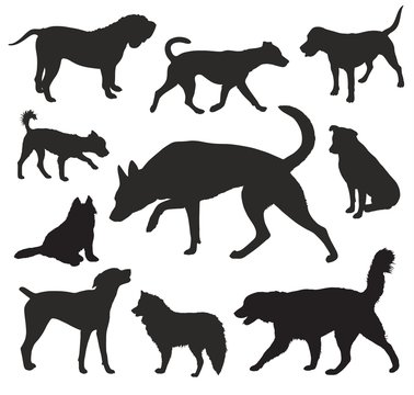 Dog  Silhouettes vector set